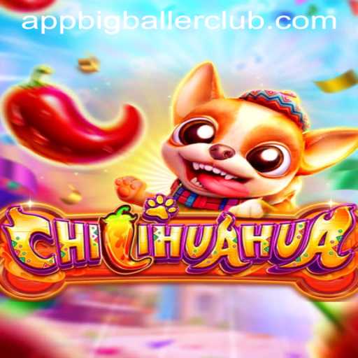 Chilihuahua: A New Hit at Big Baller Club Casino