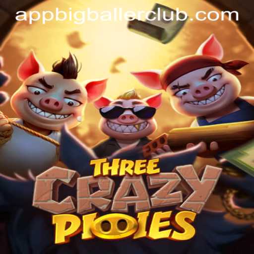 ThreeCrazyPiggies: Gaming Excitement at Big Baller Club Casino